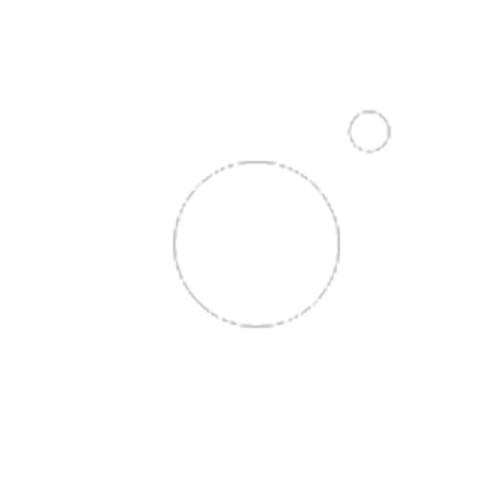 insta icon